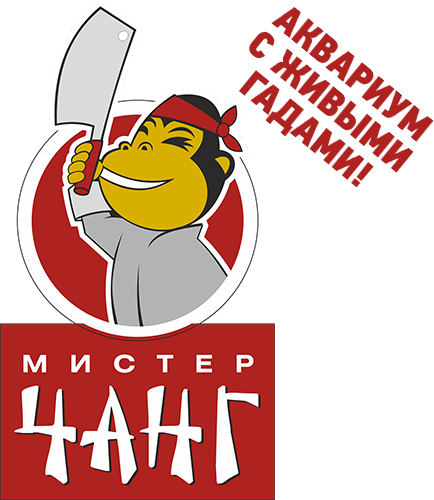 Лого Мистер Чанг